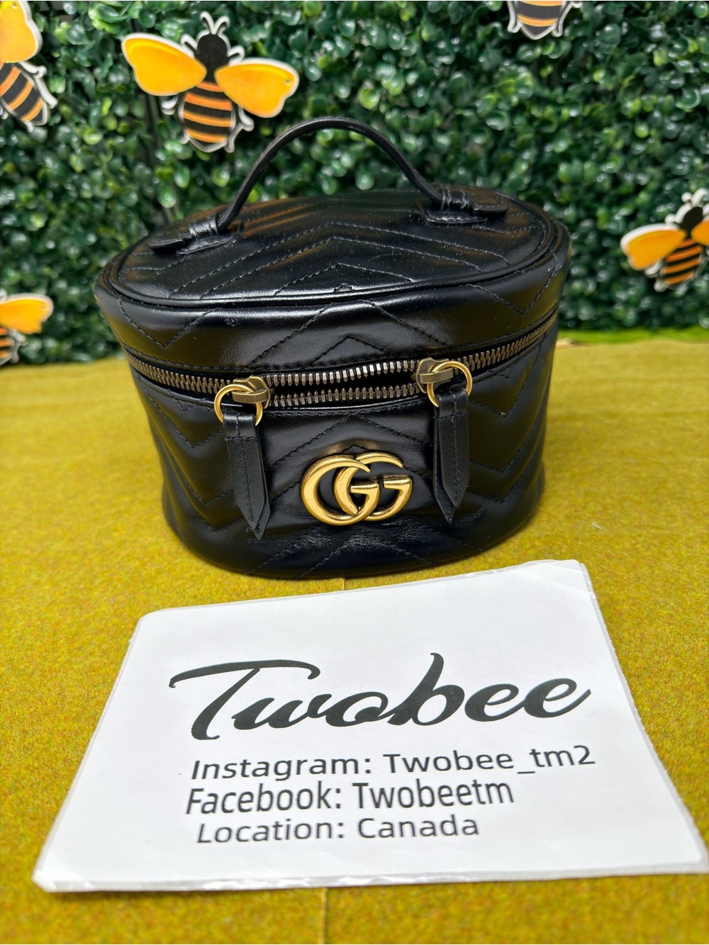 Authentic Gucci Small Marmont Vanity